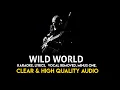 Download Lagu Mr. Big - wild world - (karaoke)