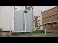 Watermelon Drop