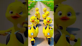 أرم سمسم أرام سام سام اغاني اطفال   ضحك  ضحك للصبح                                                 دندنها