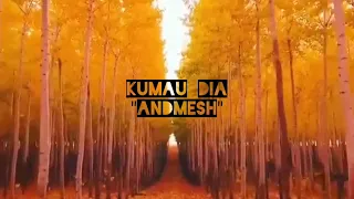 Download Andmesh - Kumau Dia ( Lirik ) MP3