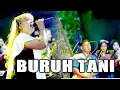 Download Lagu BURUH TANI (Rindi Safira)ADMAJA MUSIC/ADI JAYA AUDIO/JAYA VISOT HD