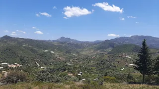 قصيدة الشيخ الشعراوي 