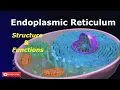 Endoplasmic Reticulum Structure and Functions SER RER Cell biology Biology