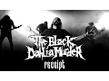Download Lagu The Black Dahlia Murder - Receipt (OFFICIAL VIDEO)