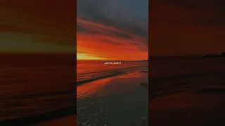 كنت عارفة شيرين 