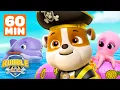 Download Lagu Pirate Rubble \u0026 PAW Patrol Rescue Sea Animals! w/ Zuma, Rocky \u0026 Robo-Dog | 1 Hour | Rubble \u0026 Crew
