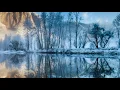 Sviatoslav Richter - Schumann - Faschingsschwank aus Wien, Op 26