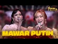 Download Lagu INUL DARATISTA X SULIYANA - MAWAR PUTIH | AMBYAR AWARDS 2025
