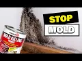Mold Killing Primer Kill Mold Before Painting