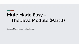 The Mule 4 Java Module Part 1