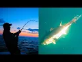 Fishing Massive Schools of Bluefin Tuna Cape Cod MA S20 E09