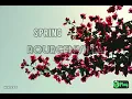 Download Lagu Spring — Bourgenvilla