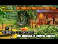 Download Lagu KELAHIRAN YUDISTIRA DAN KESEDIHAN PUTRI GANDARI MELAHIRKAN SEGUMPAL DAGING, PART 21 #mahabarata