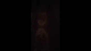 بنت عين تموشنت ترد على Laphomine 