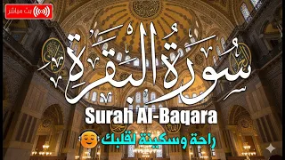 قرآن الصباح سورة البقره☀️قران كريم بصوت جميل لحفظ وتحصين المنزل-Surat Al-Baqarah Quran Recitation