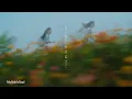My Hair is Bad – 思い出をかけぬけて (Cover by ZnZr)