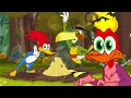 Woody Eats Fire Ants! 🔥 | Woody Woodpecker