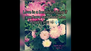 Download LOVE IS A BEAUTIFUL THING ROBIN NG FT SILVA C MP3