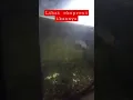 Download Lagu ternyata ikan bisa mendengar suara siulan dengan jelas