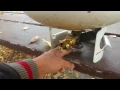How to safely refill 1lb propane cylinders so it s full - Full Time Rving