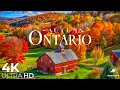 Ontario in Autumn 4K U Fly Over Vibrant Fall Foliage Scenic Lakes Rivers and Majestic Forests