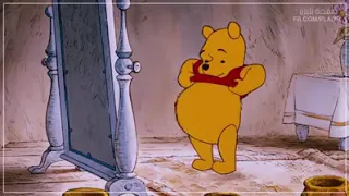 دايت و رياضة دب العسل 