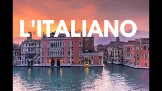                                         دندنها