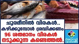 TUNA മത്സ്യപ്രിയർ കരുതിയിരിക്കൂ