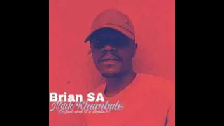 easy on me brian sa amapiano remix 