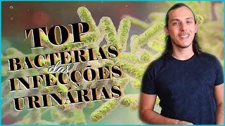 MICROBIOLOGIA: TOP bactérias que causam INFECÇÃO URINÁRIA.