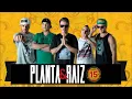 Desde as Estrelas - Planta & Raiz