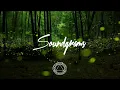 Chet Faker - I'm Into You  (Hashtag Remix)