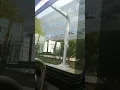 Transdev NICEBus n20X Roslyn Express Bus Ride pm