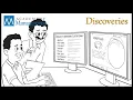 Presence of Location-Based Agglomeration Effects in Open Source Communities