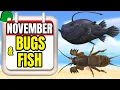 November Bugs Fish Guide Animal Crossing New Horizons Northern Hemisphere