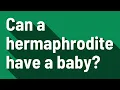 Can a hermaphrodite have a baby
