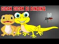 Download Lagu Cicak Cicak Di Dinding | Lagu Anak Anak | Lagu Anak Anak Indonesia