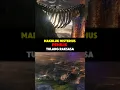 Download Lagu Misteri Jembatan Tulang Raksasa di Godzilla x Kong