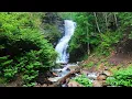 Amazing Cathedral Falls in West Virginia
