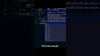 One Beginner Python Project