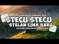 Lagu DJ STECU STECU SETELAN CUEK BARU MALU REMIX VIRAL TIKTOK  2025
