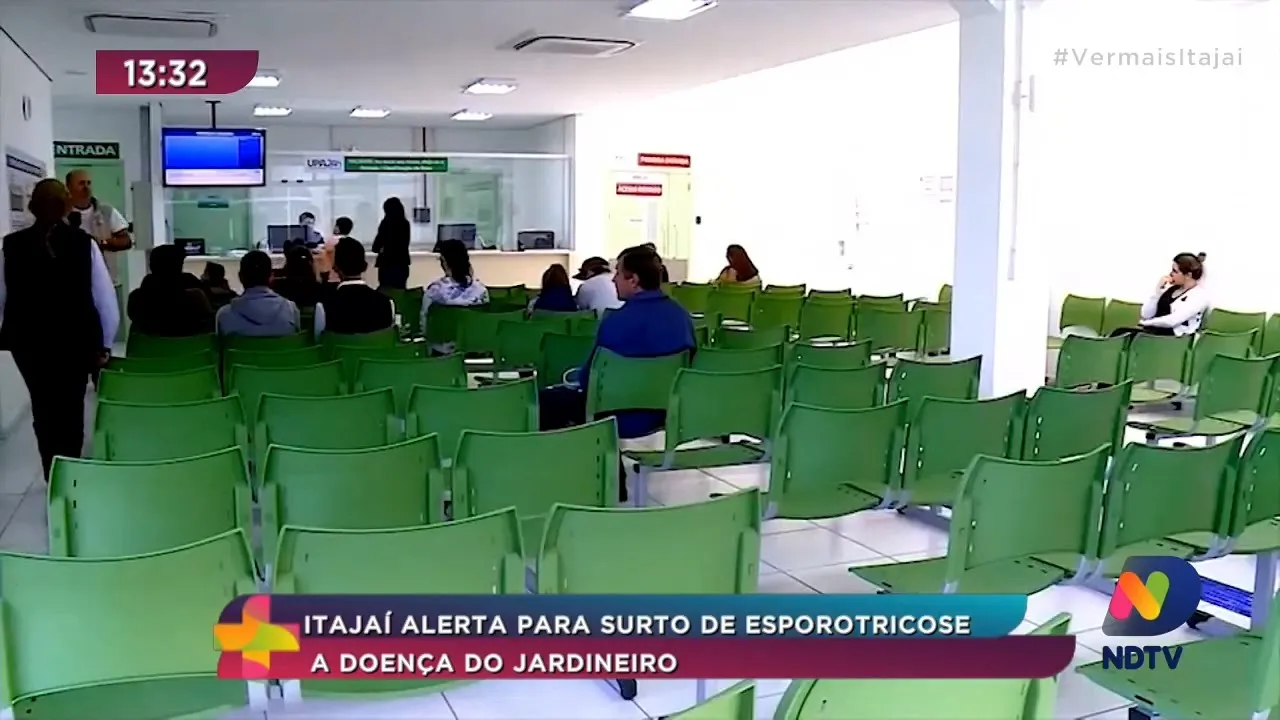 Itajaí alerta para surto de esporotricose - doença do jardineiro