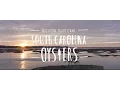 Southern Traditions South Carolina Oysters