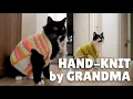 Cat vest cardigan handmade by grandma | Uni and Nami | Catz Club