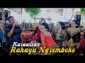 Download Lagu Full Album 1 Jam Lagu² Cokek Koplo Rahayu Ngremboko • Rini, Tata, muji, Diajeng, Wulan, Ririk, Laras