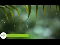 Relaxing Music & Rain Sounds - Beautiful Piano Music, Background Music, Sleep Music • You & Me