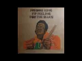 Freddie King   Woke Up This Morning