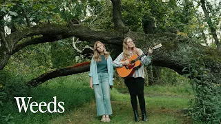 MEG + JAC - Weeds (Official Video)