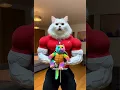Download Lagu Kitty's Turtle Adventure 🐱🐢 vs. The Doomsday Tsunami 🌊, Daddy Cat's Worried Heart #shorts #funny#cat