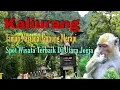 Download Lagu Jalan Jalan Ke Tempat Wisata Kaliurang Yogyakarta | Taman Nasional Gunung Merapi